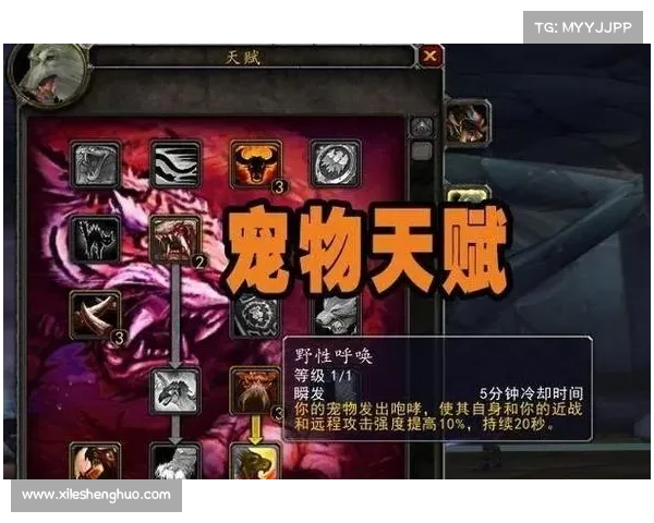 魔兽世界怀旧服：猎人开荒攻击宝宝，探索宠物战斗新境界